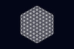 The Flower of Life Symbol: Ancient Mystery That Still Captivates