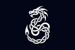 The Dragon in Celtic Art and Iconography