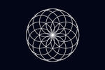 The Lotus of Life Symbol: A Sacred Pattern That Changed My Understanding
