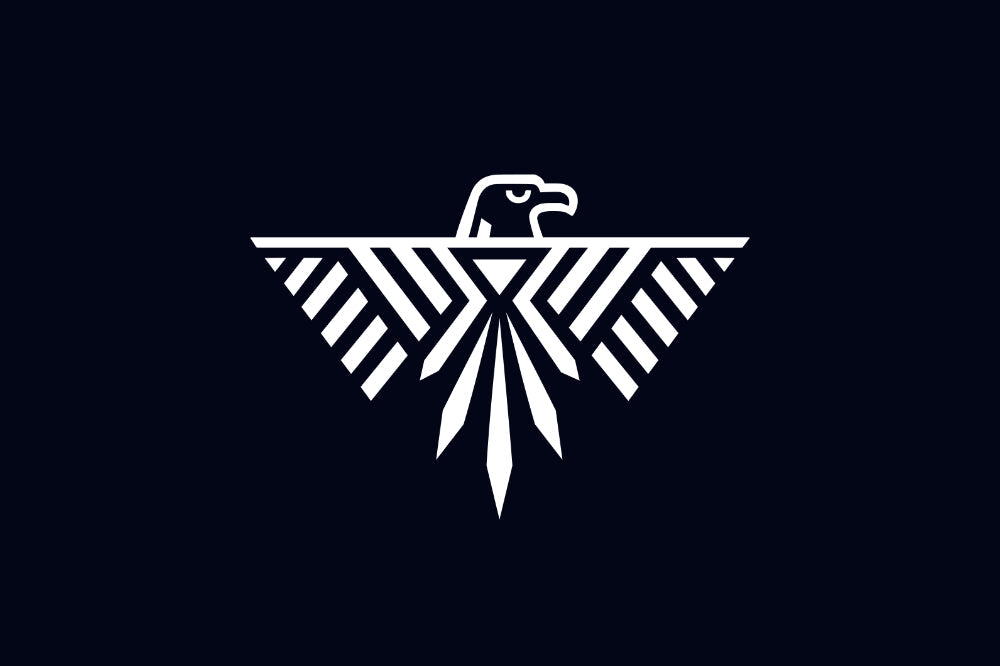 The Native American Thunderbird: A Sacred Symbol of Power and Protection
