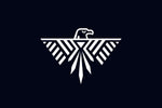 The Native American Thunderbird: A Sacred Symbol of Power and Protection