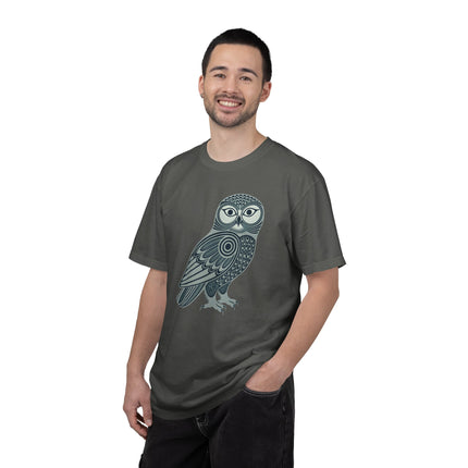 Inuit Inspired Owl T-Shirt | Geometric Tribal Bird Graphic | Comfort Colors