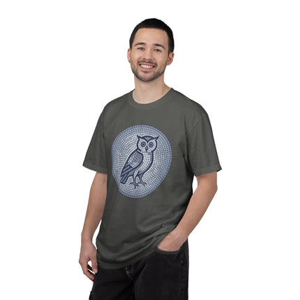 Mosaic Owl T-Shirt | Geometric Blue Grey Wisdom Graphic Tee | Comfort Colors
