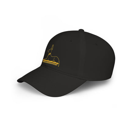 Anubis God DTF Print Baseball Cap | Ancient Egyptian Mythology Hat