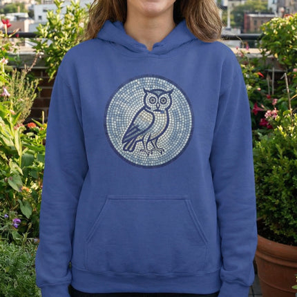 Ancient Greek Mosaic Owl Hoodie | Athena Wisdom Pullover | Comfort Colors Hoodie