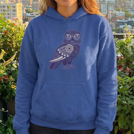 Inuit Inspired Owl 2 Graphic Hoodie | Unisex Pullover | Comfort Colors Hoodie
