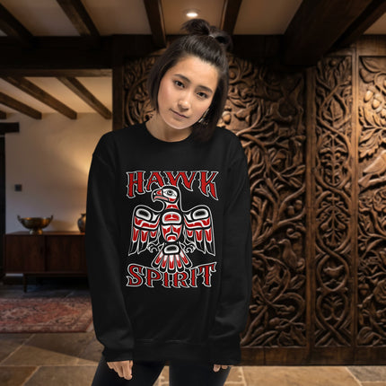 Native American style hawk and eagle graphic on an indigenous spirit pullover sweatshirt.