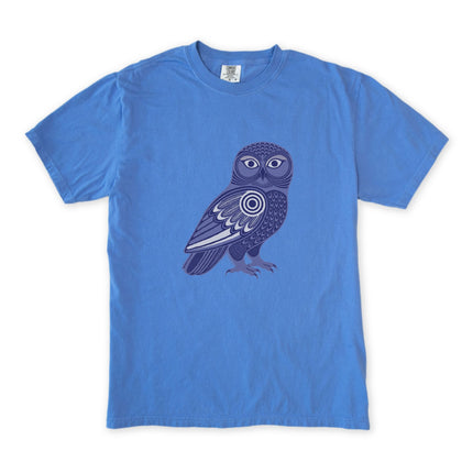 Inuit Inspired Owl T-Shirt | Geometric Tribal Bird Graphic | Comfort Colors