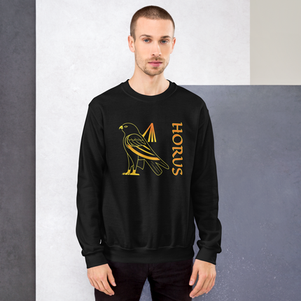 Horus falcon god graphic print pullover featuring ancient Egyptian mythology design.