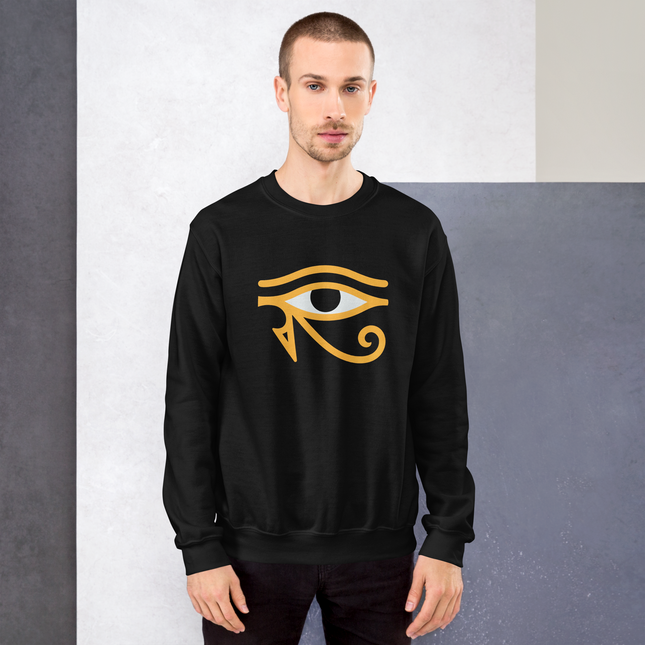 Eye of Horus ancient Egyptian symbol graphic on black pullover sweatshirt.