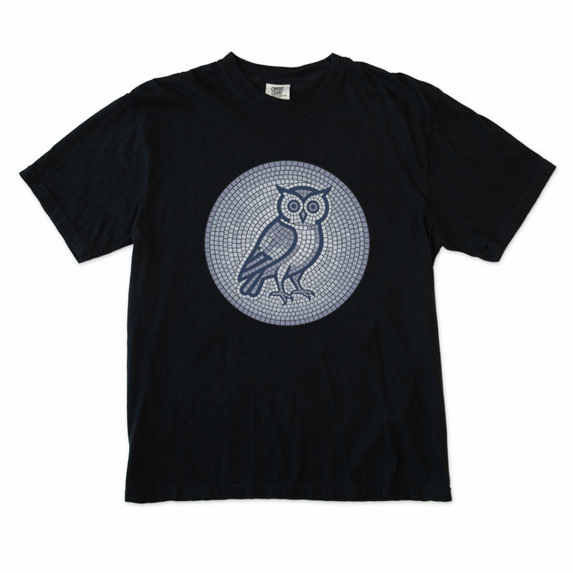 Geometric blue and grey mosaic owl graphic t-shirt featuring a wisdom design.