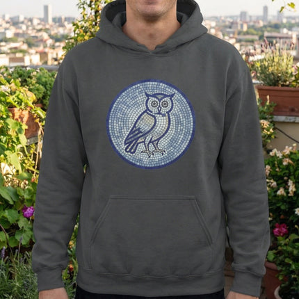 Ancient Greek Mosaic Owl Hoodie | Athena Wisdom Pullover | Comfort Colors Hoodie