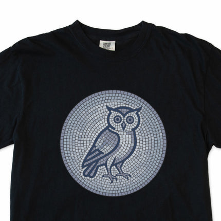 Blue and grey geometric mosaic owl graphic t-shirt design.