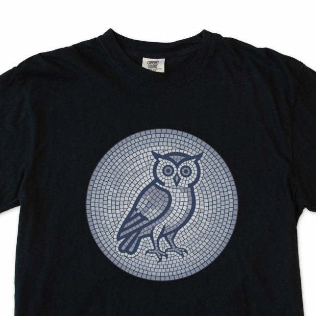 Blue and grey geometric mosaic owl graphic t-shirt design.
