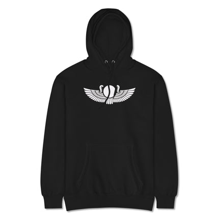 Egyptian winged sun disk design on a unisex graphic print pullover hoodie.