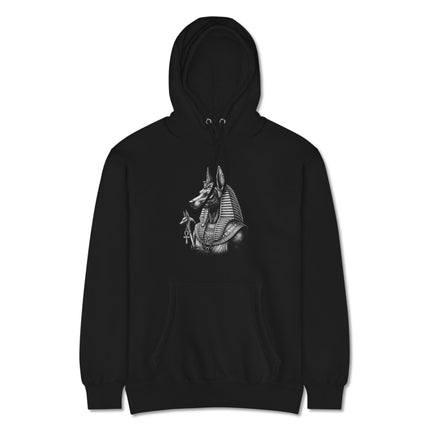 Anubis Egyptian god hoodie featuring ancient jackal mythology artwork print.