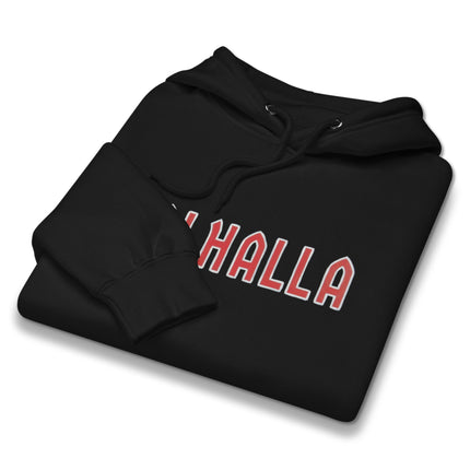 Valhalla Norse mythology hoodie featuring a detailed Viking graphic print design.