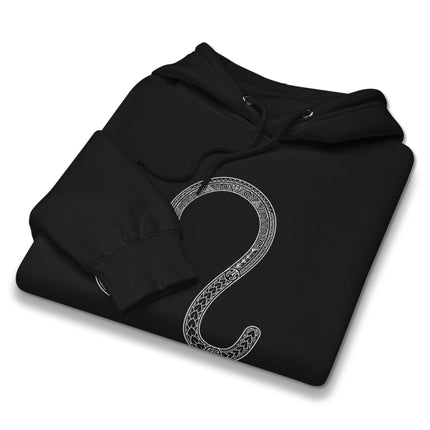 Black Leo zodiac sign hoodie featuring an intricate astrology symbol design.