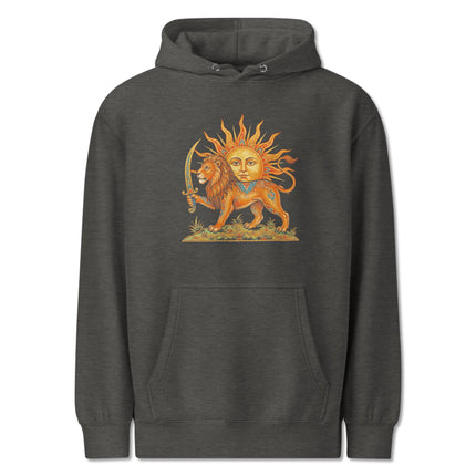 Lion & Sun Persian Symbol Hoodie | Iranian Heritage Graphic Pullover Hoodie