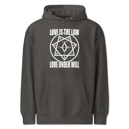 Thelema hoodie featuring the "Love Is The Law" star graphic and Babalon occult design.