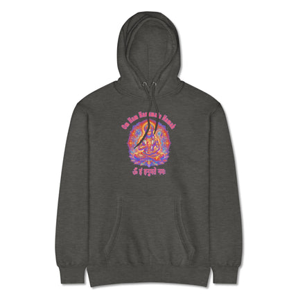 Lord Hanuman mantra pullover hoodie featuring "Om Ham Hanumate Namah" Hindu devotional design.