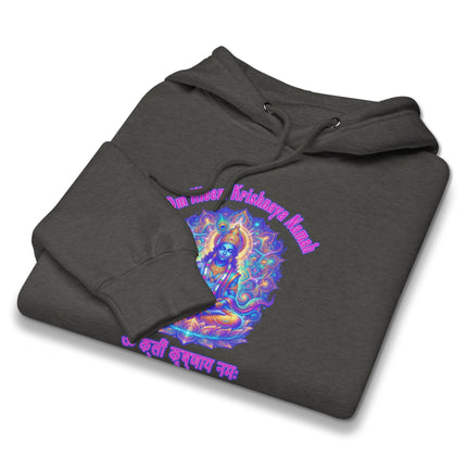 Colorful Om Krishna spiritual art hoodie featuring sacred mantra symbols.