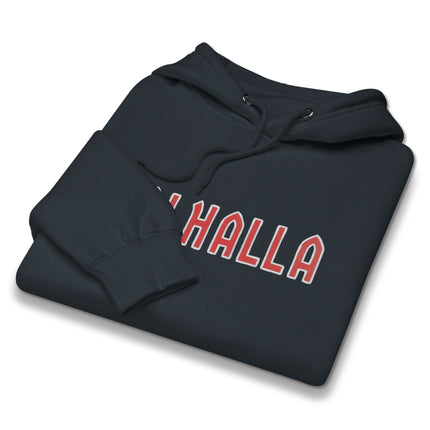 Viking Valhalla Norse mythology hoodie featuring graphic text print and warrior designs.