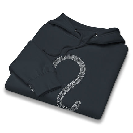 Black Leo zodiac sign hoodie featuring intricate gold astrology symbols on a black pullover.
